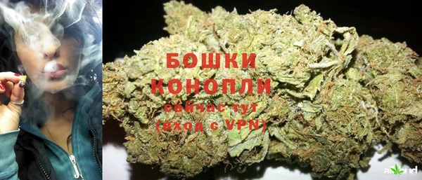 тгк Нея