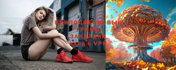 тгк Нея